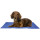 Flamingo Hunde Kühlmatte Frosty Blau S 50x40cm