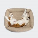 Cloud7 Hundebett Sleepy Deluxe Curl Cream