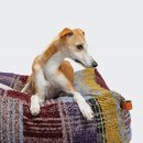 Cloud7 Hundebett Cube Tartan Purple