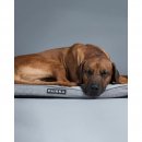 Paikka Hundematratze kühlend orthopädisch Grau
