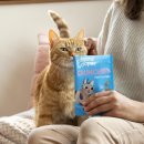 Edgard &amp; Cooper Katzensnacks Crunchies Lachs