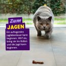Edgard &amp; Cooper Katzensnacks Rolls Lachs/Huhn