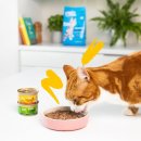 Edgard &amp; Cooper Katzen Nassfutter St&uuml;ckchen in So&szlig;e Adult Multipack 24x85g
