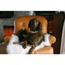 Doog Hunde Spielzeug Family Stick
