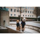 Hunter Hundepullover Genf Dunkelblau