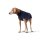 Hunter Hundepullover Genf Dunkelblau