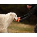 Non-stop dogwear Hundespielzeug Dog flying disc