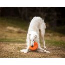 Non-stop dogwear Hundespielzeug Dog flying disc