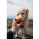 Non-stop dogwear Hundespielzeug Dog ball