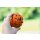 Non-stop dogwear Hundespielzeug Dog ball
