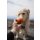 Non-stop dogwear Hundespielzeug Dog ball