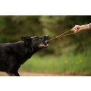 Non-stop dogwear Hundespielzeug Dog ball on rope