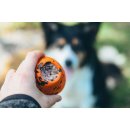 Non-stop dogwear Hundespielzeug Dog throw toy
