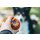 Non-stop dogwear Hundespielzeug Dog throw toy