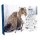Happy Cat Adventskalender