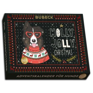 Bubeck Adventskalender für Hunde Hipster