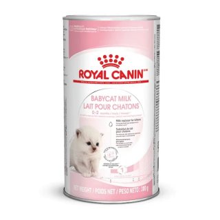 ROYAL CANIN Kitten Aufzucht Milch Babycat Milk