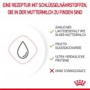 ROYAL CANIN Kitten Aufzucht Milch Babycat Milk