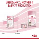 ROYAL CANIN Kitten Aufzucht Milch Babycat Milk