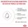 Royal Canin Kitten Aufzucht Milch Babycat Milk 300g