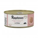 Applaws Katzen Nassfutter Thunfischfilet & Lachs in...
