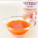 Kattovit Katzen Drink Niere/Renal Huhn