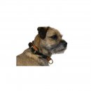 Niggeloh Hundehalsung DeLuxe Oliv