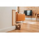 Cazi Katzen Kratzecke Viva