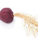 CanadianCat Katzenspielzeug mit Katzenminze Rote Beet