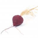 CanadianCat Katzenspielzeug mit Katzenminze Rote Beet
