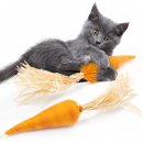 CanadianCat Katzenspielzeug mit Katzenminze Karotte