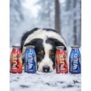 SmoothieDog Hundesmoothie Winter-Edition 25/26 Pute