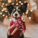 Hunter Hundespielzeug Birka Reh 27cm