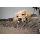 Dogspring by MAUL Hundebett Buddelbox Cappuccino