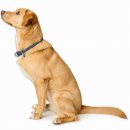 Hunter Dressurhalsung Malibu Dunkelblau