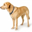 Hunter Dressurhalsung Malibu Dunkelblau