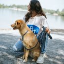 Hunter Hunde 5in1 Multifunktionsleine Malibu Dunkellbau