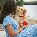 Hunter Halsband Malibu Koralle