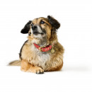 Hunter Halsband Malibu Koralle