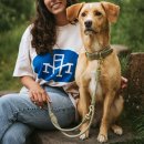 Hunter Hunde Verstellbare F&uuml;hrleine Malibu Salbeigr&uuml;n