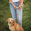 Hunter Hunde 5in1 Multifunktionsleine Malibu Koralle