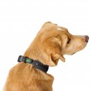 Hunter Halsband Havanna Schwarz