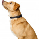 Hunter Halsung Havanna Schwarz