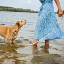 Hunter Hunde Verstellbare F&uuml;hrleine Havanna Greige