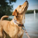 Hunter Hunde Verstellbare F&uuml;hrleine Havanna Taupe/Rauchblau