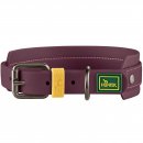 Hunter Halsband Havanna Brombeer