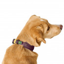 Hunter Halsband Havanna Brombeer