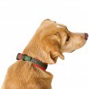 Hunter Halsband Havanna Gr&uuml;n/Orange