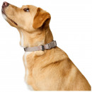 Hunter Halsung Havanna Greige