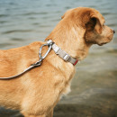 Hunter Halsung Havanna Greige